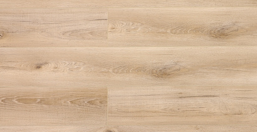 Дуб Фрейзер - миниатюра 5