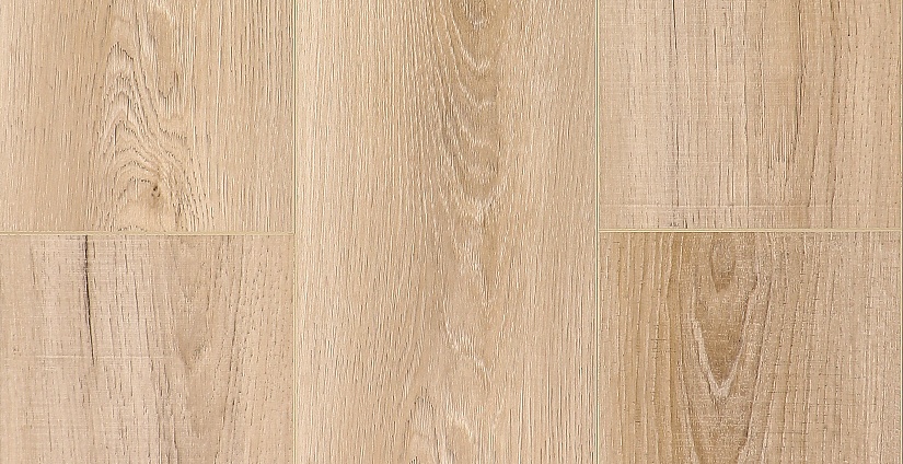 Дуб Фрейзер - миниатюра 6