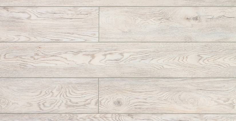 Дуб Каменный - миниатюра 5