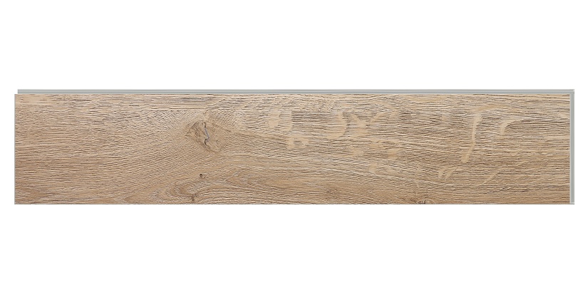 Дуб Лилль - миниатюра 4