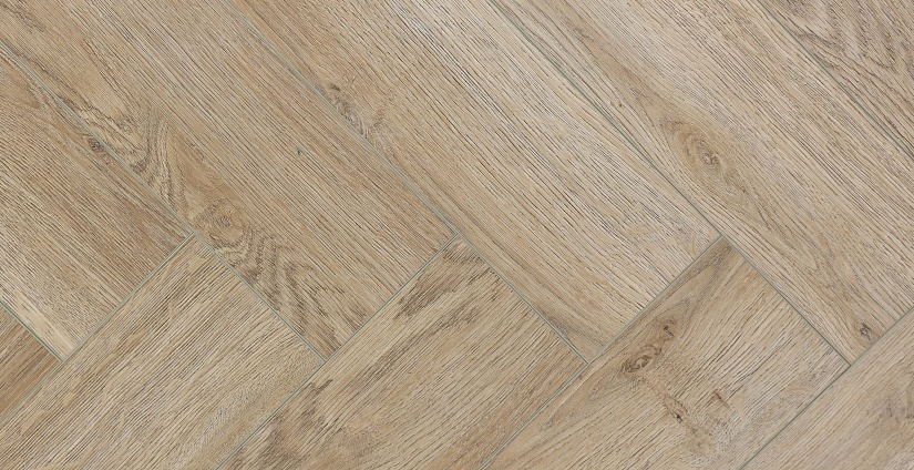 Дуб Лилль - миниатюра 5