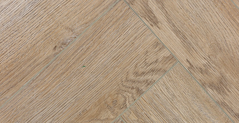 Дуб Лилль - миниатюра 6