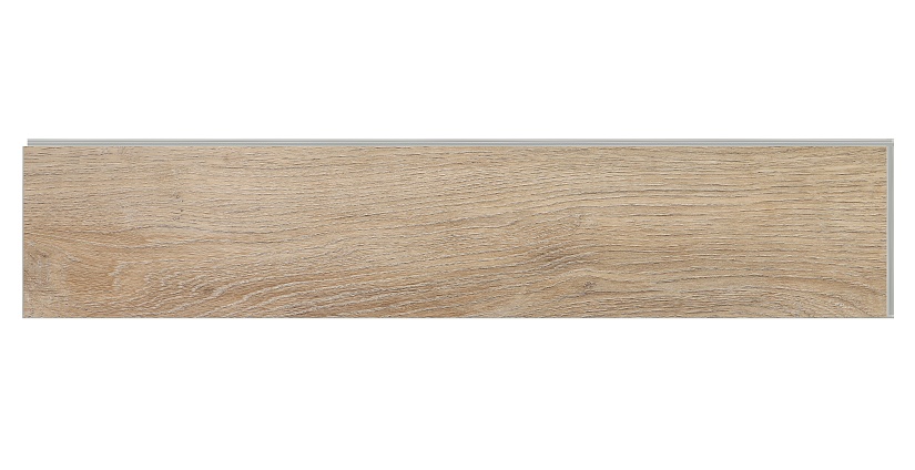 Дуб Монпелье - миниатюра 4