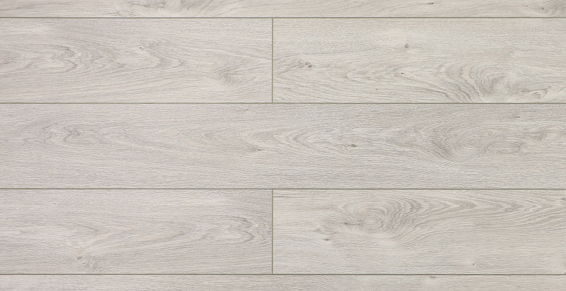 Дуб Осло - миниатюра 5