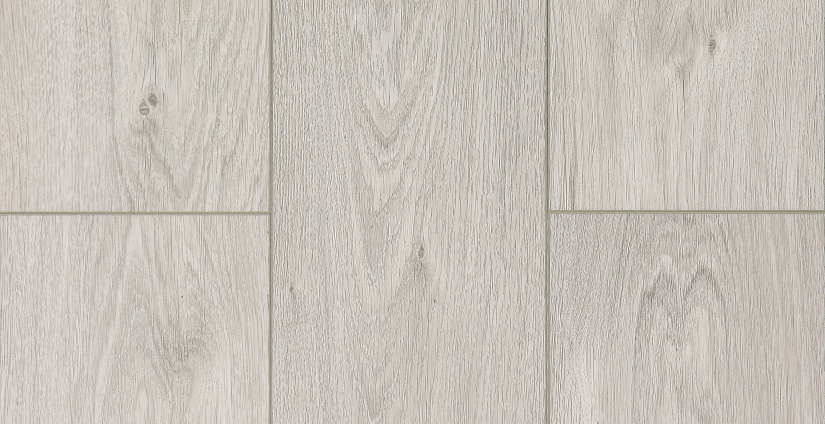 Дуб Осло - миниатюра 6