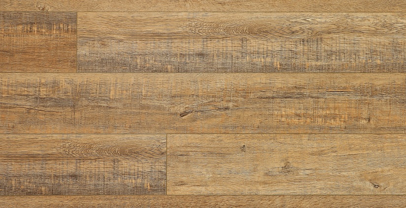 Дуб Робуста - миниатюра 5