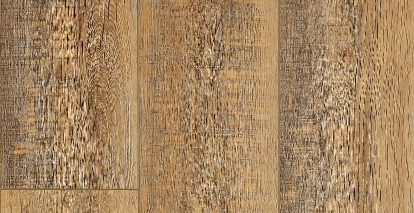 Дуб Робуста - миниатюра 6