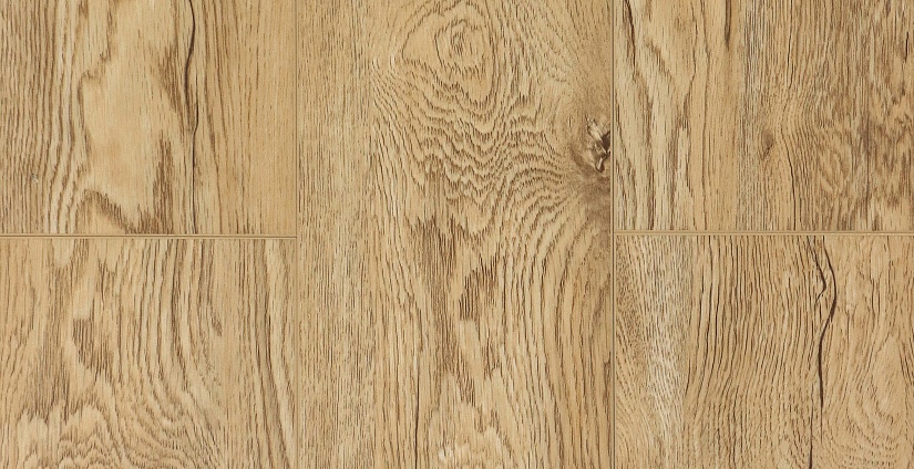 Дуб Золотистый - миниатюра 6