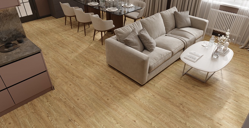 Дуб Золотистый